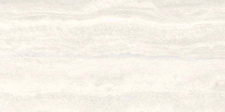 00e529dc494f0f6d427df5b404fa9da3