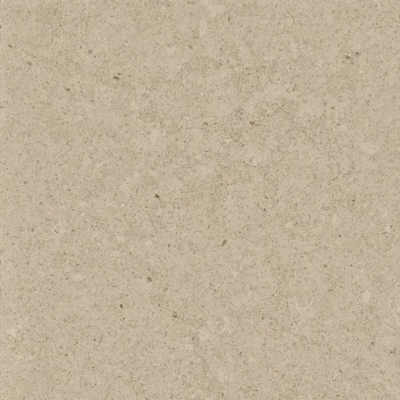 af211a386a02b4895239372913421573