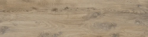 Przejdź do produktu Cifre Nebraska Elm Naturale 30x120 cm rekt.