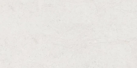 f888becf500ade71bf1535aa546d81ae