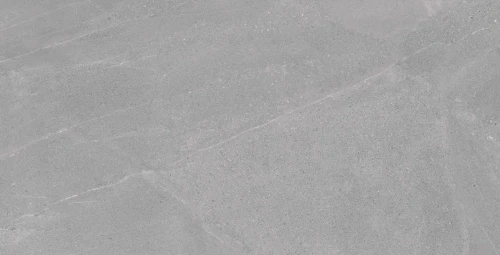 Przejdź do produktu Colorker Madison Argent Matt 59.5x119.2cm Rekt. /218567