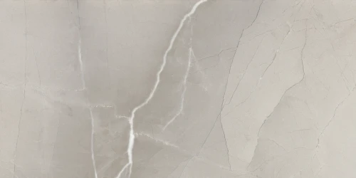 Przejdź do produktu Azteca Passion Grey Lappato 45x90 cm rekt.
