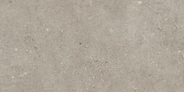 Przejdź do produktu Azteca Shellstone Grey Naturale 30x60 cm rekt.