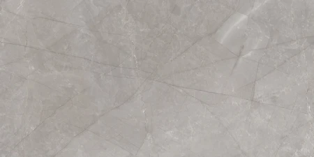 2b1e747f4c6e84e3111988a198244849