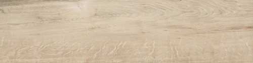 Przejdź do produktu Delconca Foreste D'Italia Fi 1 Beige Nat 30x120 cm Rekt./31FI01