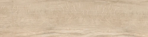 Przejdź do produktu Delconca Foreste D'Italia Fi 1 Beige Nat 20x120 cm Rekt./21FI01R85