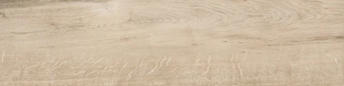 Przejdź do produktu Delconca Foreste D'Italia Fi 1 Beige Nat 20x80 cm /27FI01