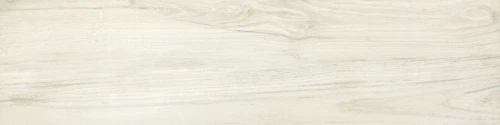 Przejdź do produktu Delconca Foreste D'Italia Fi 10 Bianco Nat 30x120 cm Rekt./31FI10