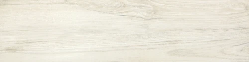 Przejdź do produktu Delconca Foreste D'Italia Fi 10 Bianco Nat 20x80 cm /27FI10