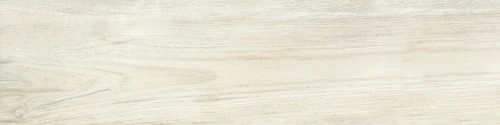 Przejdź do produktu Delconca Foreste D'Italia Fi 10 Bianco Nat 20x120 cm Rekt./21FI10R85