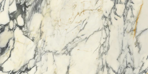Przejdź do produktu Delconca Premiere Paonazzo Shine 60x120 cm Rekt./GCPM10S