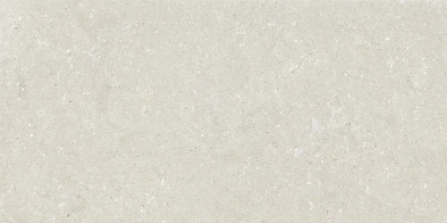 Przejdź do produktu Delconca Wild White Nat 60x120 cm 20 mm Rekt./SCWD10R