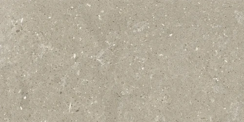 Przejdź do produktu Delconca Wild Greige Nat 30x60 cm Rekt./G8WD11R