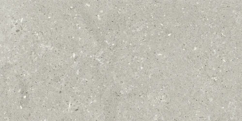 Przejdź do produktu Delconca Wild Grey Nat 30x60 cm Rekt./G8WD05R