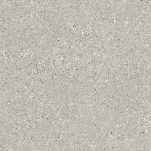 Przejdź do produktu Delconca Wild Grey Nat 60x60 cm Rekt./G9WD05R