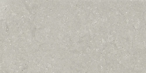 Przejdź do produktu Delconca Wild Grey Nat 60x120 cm Rekt./GCWD05R