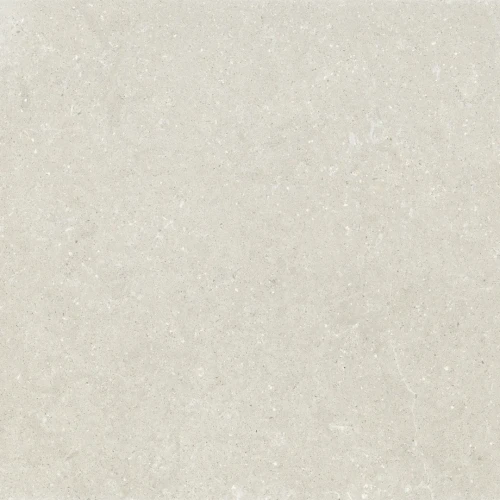 Przejdź do produktu Delconca Wild White Nat 120x120 cm Rekt./GRWD10R