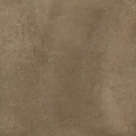 446581513c4cf33190ca050855935506