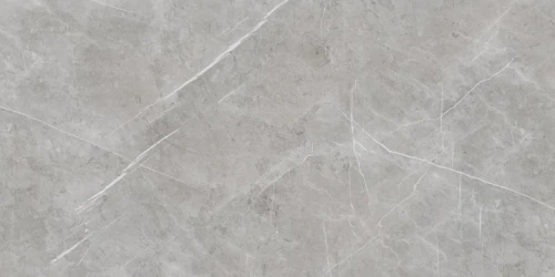 Przejdź do produktu Azuvi Aran Grey Matt 60x120 Rekt.