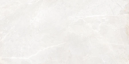 2c496944883d57226f642de4d9e0a559