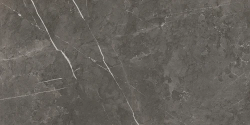 Przejdź do produktu Lea Dreaming Graystone Lucido 30x60 Rekt.
