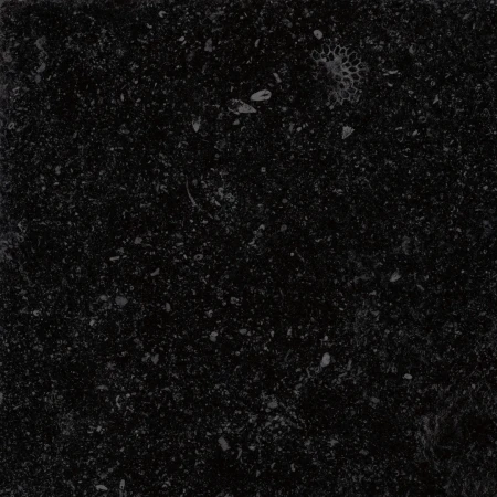9ae1ed4f63936f561bbb475609fe5f24