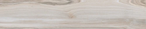 Przejdź do produktu Cerdomus Savanna Dust Matt 20x100 Rekt.