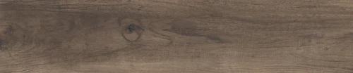 Przejdź do produktu Rondine Aspen Brown Naturale 20.5x100