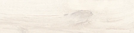 b80589c2894030533414c848ada49112