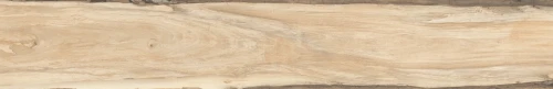Przejdź do produktu Rondine Sherwood Maple Naturale 24x150