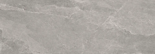 Przejdź do produktu Cotto D'este Advantage Skin Silver Naturale 50x100  Rekt.