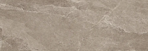 Przejdź do produktu Cotto D'este Advantage Skin Greige Naturale 50x100  Rekt.