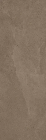 c644fbeffebc1c49abf3eca405eb9ca5