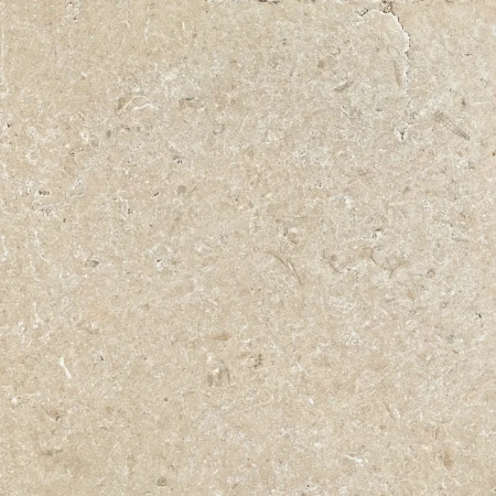 6298c60bc8eb4e49a32ad910dcada228
