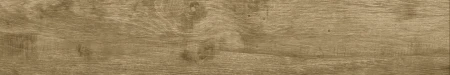 ec0c78f39d7825c3fff65010a96ddb41