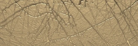 cebd83e9b8fbfeeb40e995abf8c29724