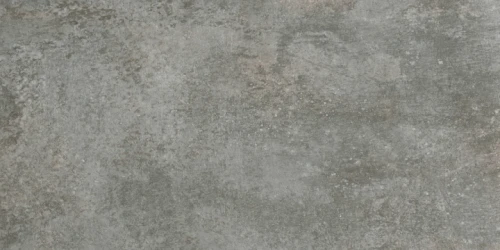 Przejdź do produktu Cercom Temper Argent Naturale 50x100  Rekt.