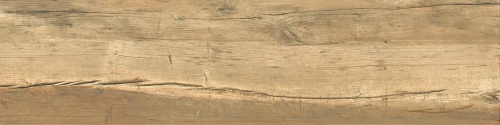 Przejdź do produktu Century Jasper Branch Naturale 30x120  Rekt.