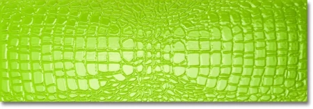 c8306543fa981281d65bb43b7e9e821f