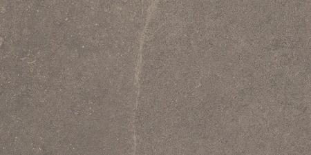d365115c6a8db95675da9f278d705c15