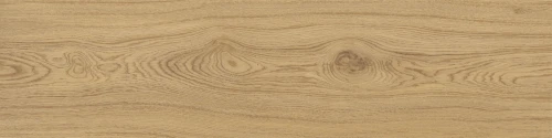 Przejdź do produktu Monocibec Ashley Nature Naturale 30x120  Rekt.