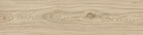 Przejdź do produktu Monocibec Ashley Larix Naturale 30x120  Rekt.