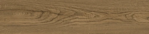 Przejdź do produktu Monocibec Ashley Nest Naturale 23x100
