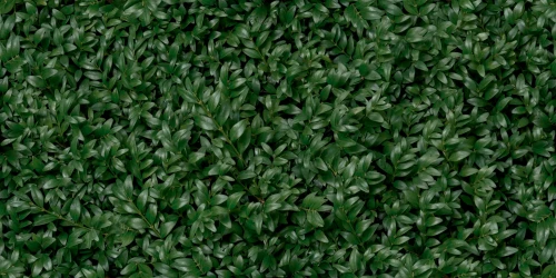 Przejdź do produktu Panaria Glam Greenwall E Naturale 50x100 Rekt.