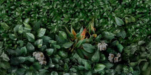 Przejdź do produktu Panaria Glam Greenwall D Naturale 50x100 Rekt.