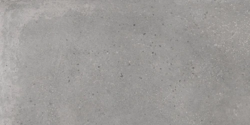 Przejdź do produktu Gardenia Orchidea D. Sign Grey Naturale 30x60  Rekt.