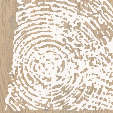 3da1ba0146c492c6e1073f4cfa0a7547