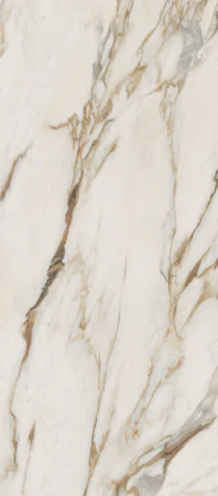 2d79d26feca1ec2f42721d848ba99e99