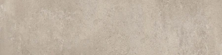c496607ad4a4a53ec9819442e880ec22