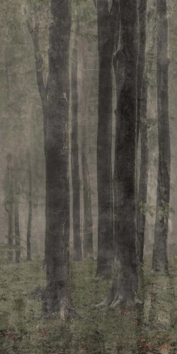 Przejdź do produktu Abk Wide&Style Woods Naturale 120x240 cm Rekt.